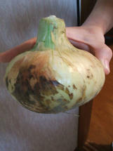 DSCF1279.jpg