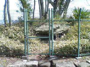 DSC00673.JPG