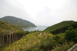DSC_0204.JPG