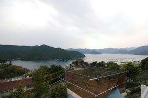 DSC_0206.JPG