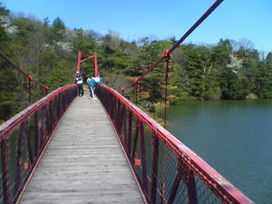 DSC00678.JPG