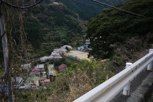 DSC_0241.JPG