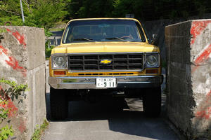DSC_0483.JPG