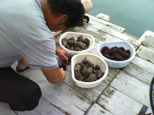 DSC00707.JPG