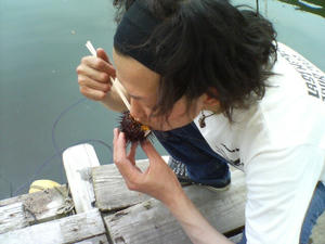 DSC00708.JPG