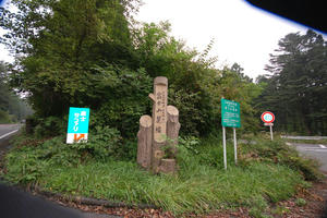 DSC_0227.JPG