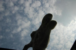 DSC_0389.JPG