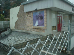 DSC01984.jpg