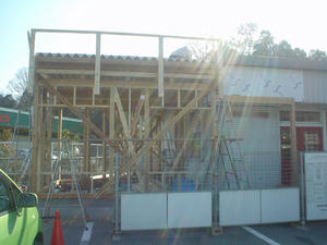 DSC01990.JPG