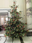 IMG_2067.JPG