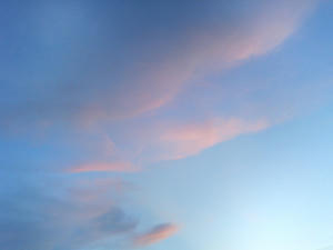 sky1