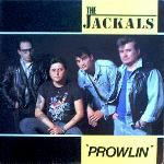 jackals1.jpg