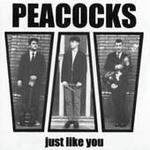 peacocks-2ndsingle.jpg