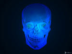 Skull-1024x768.jpg