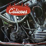 calicoes-1st.jpg
