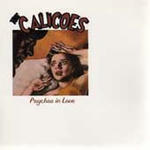 calicoes-7inch.jpg