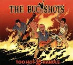 too-hot-2-handle-buckshots-cd-cover-art.jpg