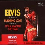220px-ElvisBurningLove45.jpg