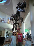 CA3A0021.jpg