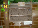 724b87aa.jpg