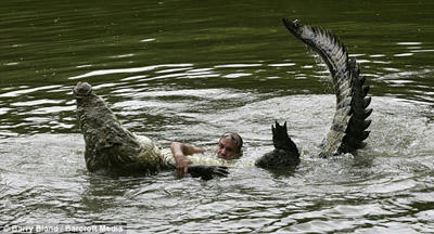 Crocodile_crazy1.jpg