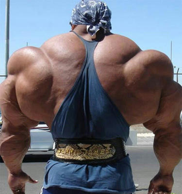 Body_building.jpg