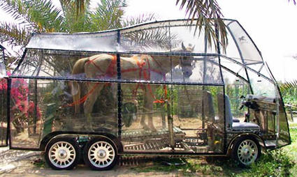 one_horse_power_vehicle.jpg