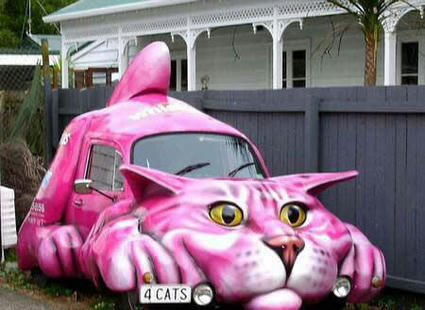 cat_car.jpg