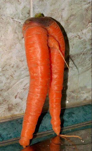 vegeporn.jpg