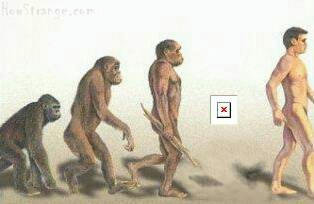 missing_link.jpg