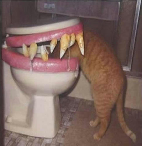 Im_In_Ur_Mouth_Eatin_Ur_Pee.jpg