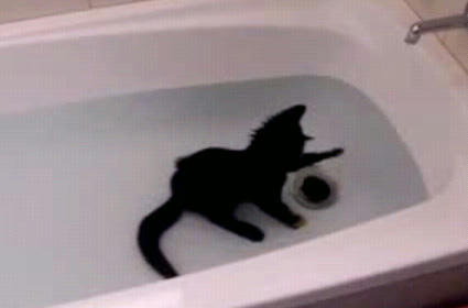 ohuro_neko.JPG