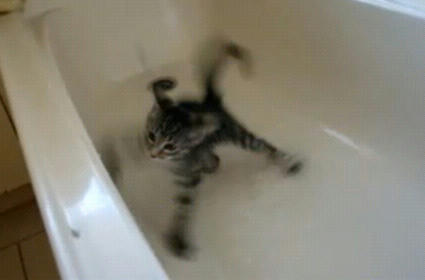 Luna_falls_into_Bathtub.JPG