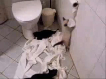 toilet_roll.JPG