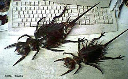 giant_bugs.jpg