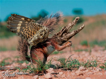 Winged_Squirrel_Croc.jpg