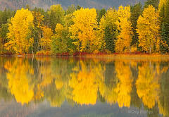 Montana_Fall.jpg