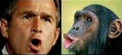 bush03.jpeg