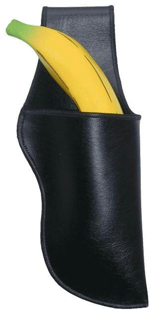 Holster_Blk.JPG