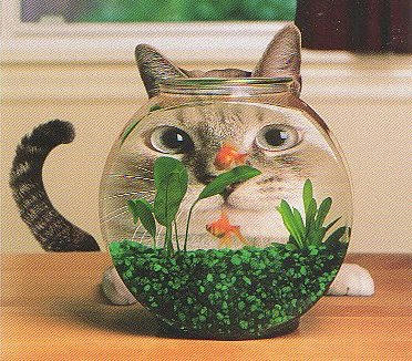 Fishbowl.jpg
