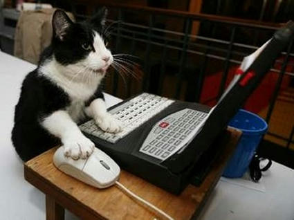 cat_typing.jpg