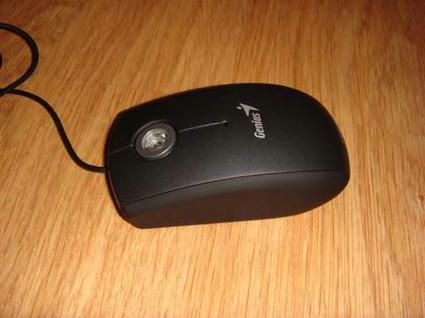 mouse_00.jpg