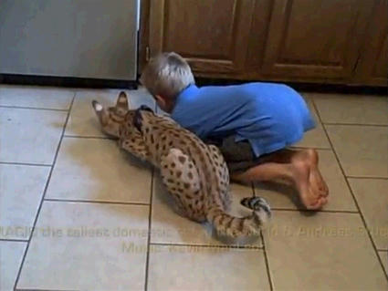 A_Beautiful_Relationship.JPG