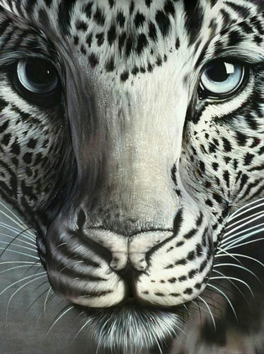 Leopard_01.jpg