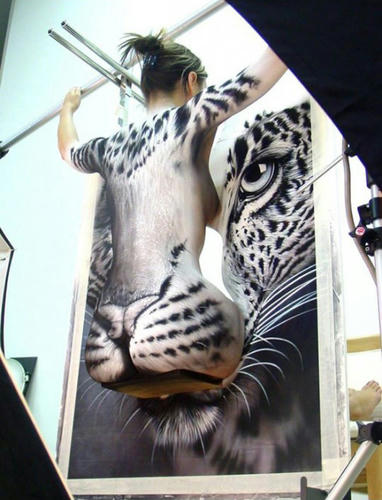 Leopard_02.jpg