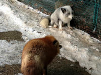 IMG_0902_resize1.jpg