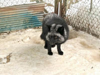 IMG_0906_resize1.jpg