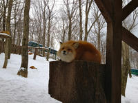 IMG_0916_resize1.jpg