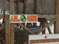 IMG_0953_resize1.jpg
