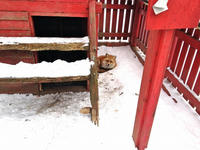 IMG_0960_resize1.jpg